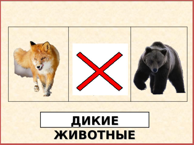Найди лишний предмет. ДИКИЕ ЖИВОТНЫЕ  