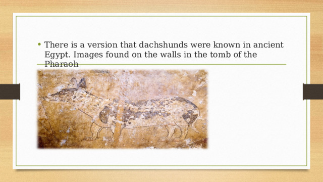 There is a version that dachshunds were known in ancient Egypt. Images found on the walls in the tomb of the Pharaoh 