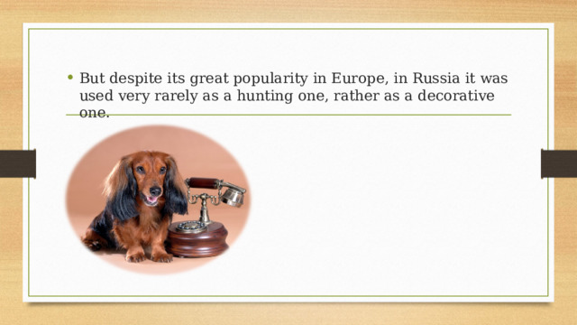 But despite its great popularity in Europe, in Russia it was used very rarely as a hunting one, rather as a decorative one. 