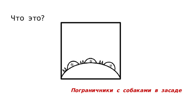 Что это? Пограничники с собаками в засаде 