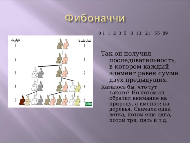 0 1 1 2 3 5 8 13 21 55 89 Так он получил последовательность, в котором каждый элемент равен сумме двух предыдущих. Казалось бы, что тут такого? Но потом он обратил внимание на природу, а именно: на деревья. Сначала одна ветка, потом еще одна, потом три, пять и т.д. 