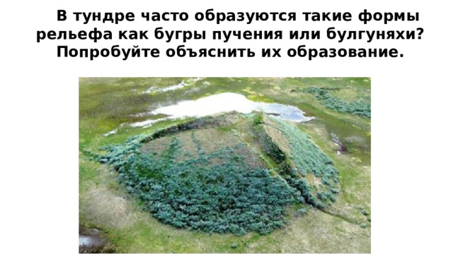  В тундре часто образуются такие формы рельефа как бугры пучения или булгуняхи? Попробуйте объяснить их образование. 