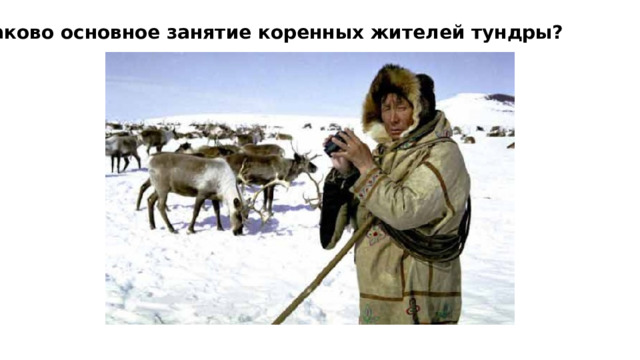 Каково основное занятие коренных жителей тундры? 