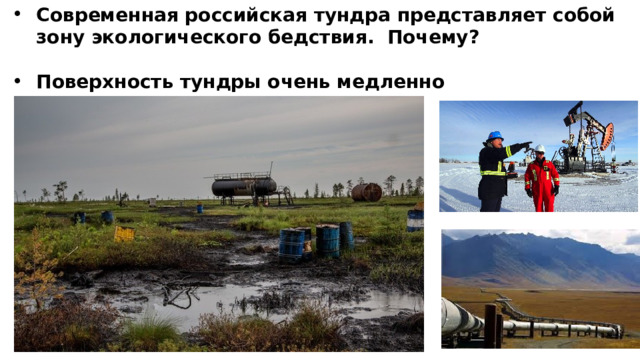Современная российская тундра представляет собой зону экологического бедствия. Почему?  Поверхность тундры очень медленно восстанавливается. Почему?  