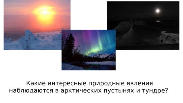  Какие интересные природные явления наблюдаются в арктических пустынях и тундре? 