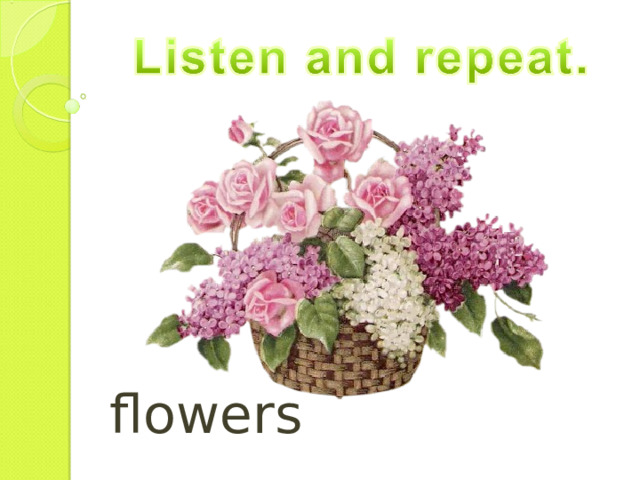 flowers 
