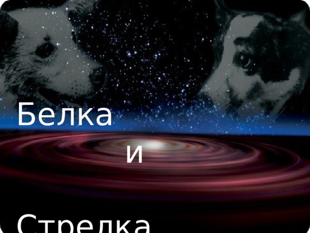 Белка и Стрелка  собаки в космосе Белка  и  Стрелка   