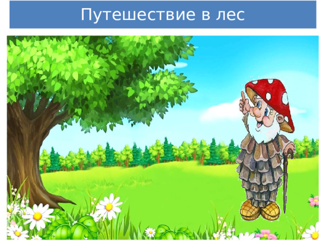 Путешествие в лес 