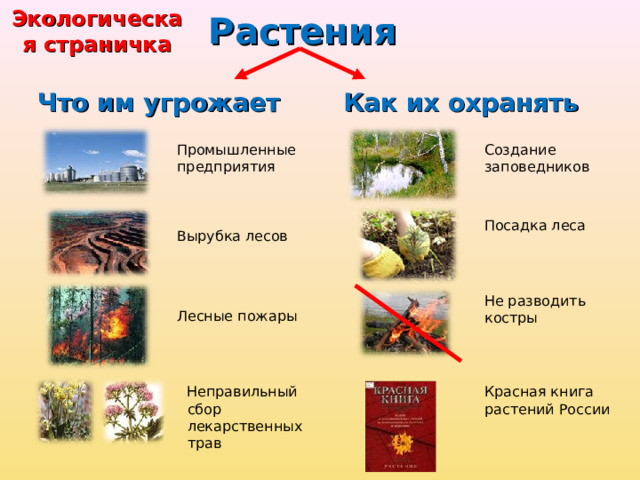 Растения Экологическая страничка Что им угрожает Как их охранять Создание заповедников Промышленные предприятия Посадка леса Вырубка лесов Не разводить костры Лесные пожары Неправильный сбор лекарственных трав Красная книга растений России 