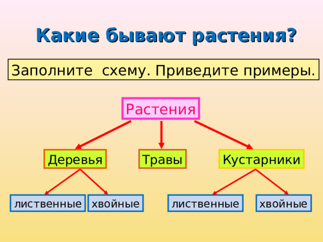 Какие бывают растения? Заполните схему. Приведите примеры. Растения Деревья Кустарники Травы хвойные лиственные лиственные хвойные 
