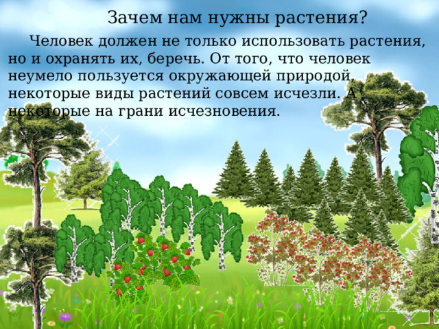 Зачем нам нужны растения?  Человек должен не только использовать растения, но и охранять их, беречь. От того, что человек неумело пользуется окружающей природой, некоторые виды растений совсем исчезли. А некоторые на грани исчезновения. 