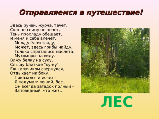 Отправляемся в путешествие!   Здесь ручей, журча, течёт, Солнце спину не печёт, Тень прохладу обещает, И меня к себе влечёт.  Между ёлочек иду,  Может, здесь грибы найду.  Только спрятались маслята,  Мухоморы на виду. Вижу белку на суку, Слышу близкое 