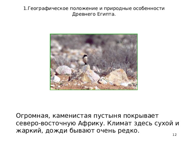1.Географическое положение и природные особенности Древнего Египта.   Огромная, каменистая пустыня покрывает северо-восточную Африку. Климат здесь сухой и жаркий, дожди бывают очень редко.  