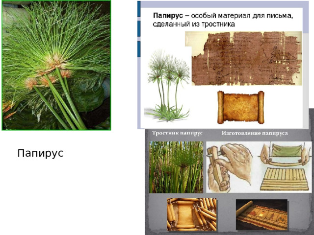 Папирус  
