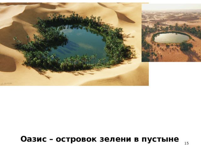 Оазис  – островок зелени в пустыне  