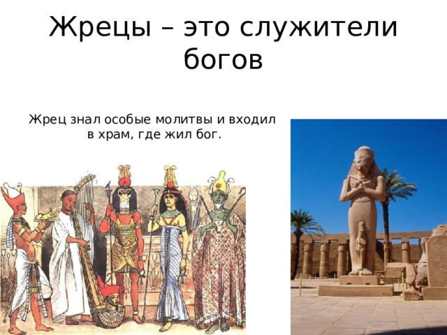 Жрецы – это служители богов Жрец знал особые молитвы и входил в храм, где жил бог. 