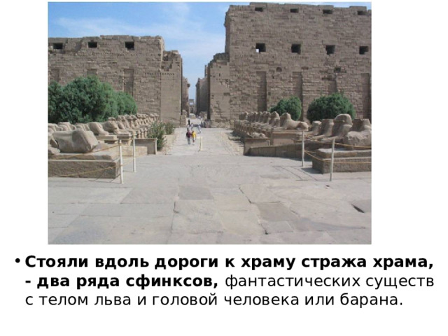Стояли вдоль дороги к храму стража храма, - два ряда сфинксов, фантастических существ с телом льва и головой человека или барана. 