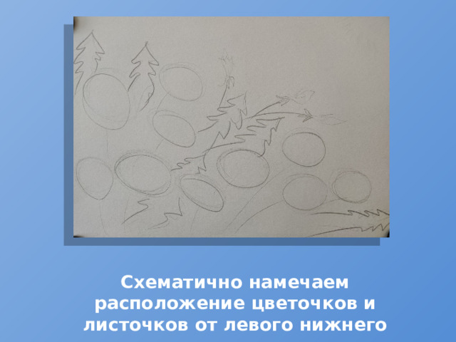 Схематично намечаем расположение цветочков и листочков от левого нижнего угла 