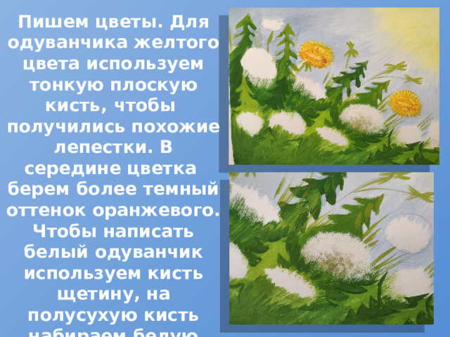 Пишем цветы. Для одуванчика желтого цвета используем тонкую плоскую кисть, чтобы получились похожие лепестки. В середине цветка берем более темный оттенок оранжевого. Чтобы написать белый одуванчик используем кисть щетину, на полусухую кисть набираем белую краску и плоским кончиком , постукивающими движениями делаем «пушистый» цветок. Ближе к сердцевине набираем более темный оттенок – охра с серым, чтобы показать объем цветка. 