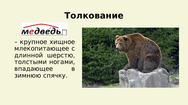 Толкование – крупное хищное млекопитающее с длинной шерстю, толстыми ногами, впадающее в зимнюю спячку. 