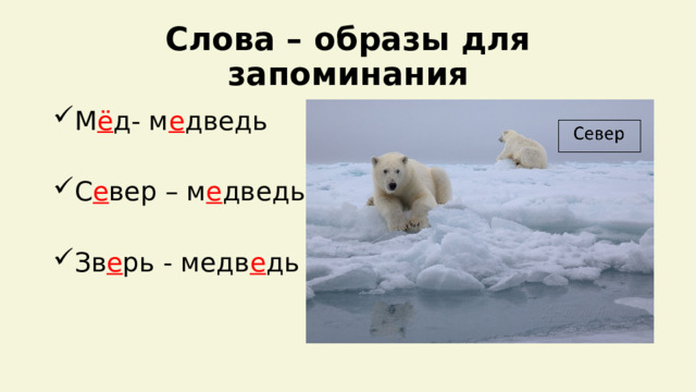 Слова – образы для запоминания М ё д- м е дведь С е вер – м е дведь Зв е рь - медв е дь 