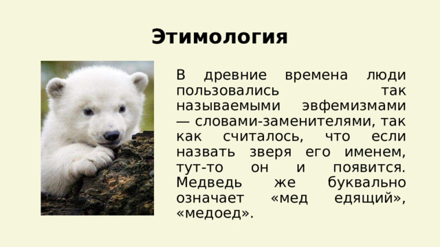 Этимология В древние времена люди пользовались так называемыми эвфемизмами — словами-заменителями, так как считалось, что если назвать зверя его именем, тут-то он и появится. Медведь же буквально означает «мед едящий», «медоед». 