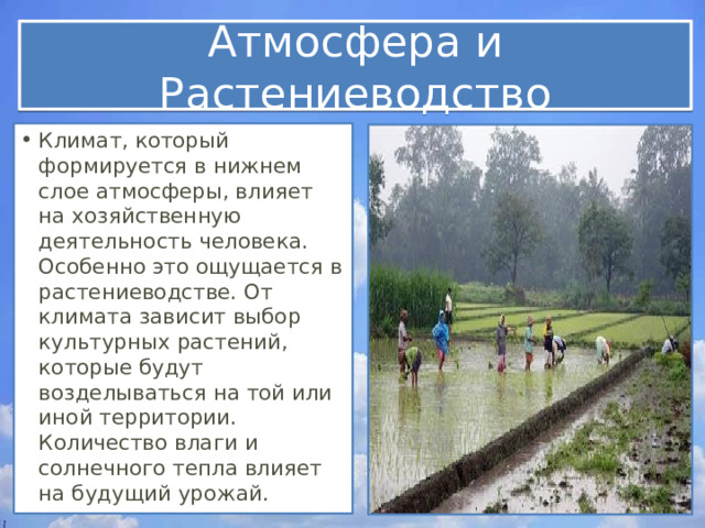 Атмосфера и Растениеводство Климат, который формируется в нижнем слое атмосферы, влияет на хозяйственную деятельность человека. Особенно это ощущается в растениеводстве. От климата зависит выбор культурных растений, которые будут возделываться на той или иной территории. Количество влаги и солнечного тепла влияет на будущий урожай. 