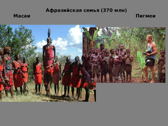  Афразийская семья (370 млн)  Масаи Пигмеи   