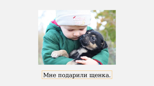 Мне подарили щенка. 