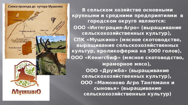 В сельском хозяйстве основными крупными и средними предприятиями в городском округе являются: ООО «Интеграция-Агро» (выращивание сельскохозяйственных культур), СПК «Мушкино» (мясное скотоводство, выращивание сельскохозяйственных культур, кроликоферма на 5000 голов), ООО «Кенигсбиф» (мясное скотоводство, мраморное мясо), ООО «Дружба» (выращивание сельскохозяйственных культур), ООО «Мамоново Агро Тангеманн и сыновья» (выращивание сельскохозяйственных культур) 
