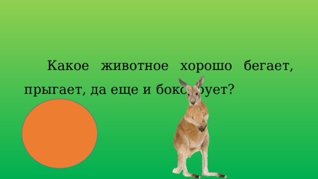  Какое животное хорошо бегает, прыгает, да еще и боксирует? 