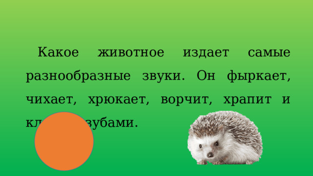 Какое животное издает самые разнообразные звуки. Он фыркает, чихает, хрюкает, ворчит, храпит и клацает зубами. 