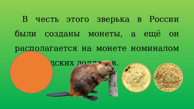 В честь этого зверька в России были созданы монеты, а ещё он располагается на монете номиналом в 5 канадских долларов. 