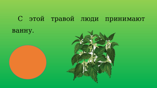 С этой травой люди принимают ванну. 