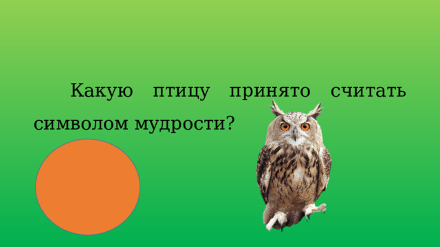  Какую птицу принято считать символом мудрости? 