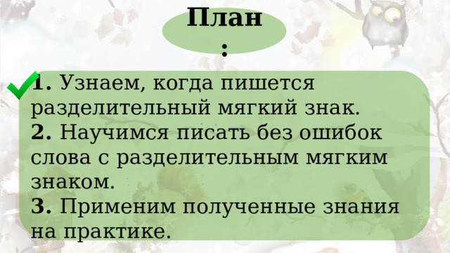 План: 1. Узнаем, когда пишется разделительный мягкий знак. 2. Научимся писать без ошибок слова с разделительным мягким знаком. 3. Применим полученные знания на практике. 