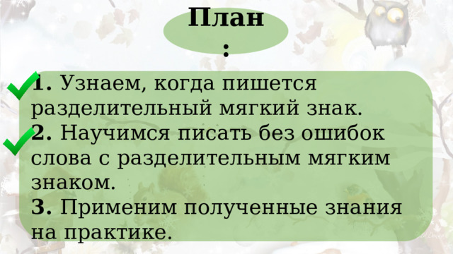 План: 1. Узнаем, когда пишется разделительный мягкий знак. 2. Научимся писать без ошибок слова с разделительным мягким знаком. 3. Применим полученные знания на практике. 