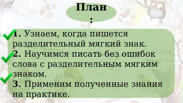 План: 1. Узнаем, когда пишется разделительный мягкий знак. 2. Научимся писать без ошибок слова с разделительным мягким знаком. 3. Применим полученные знания на практике. 