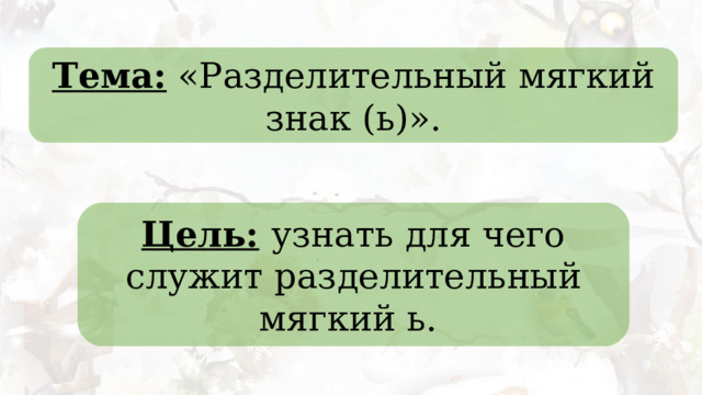 Тема: «Разделительный мягкий знак (ь)». Цель:  узнать для чего служит разделительный мягкий ь. 