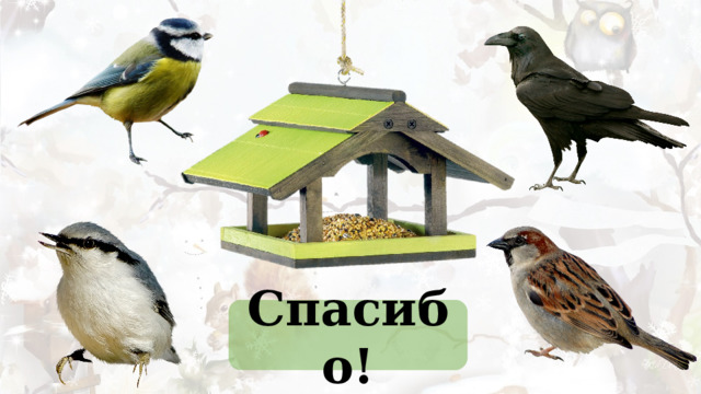 Спасибо! 