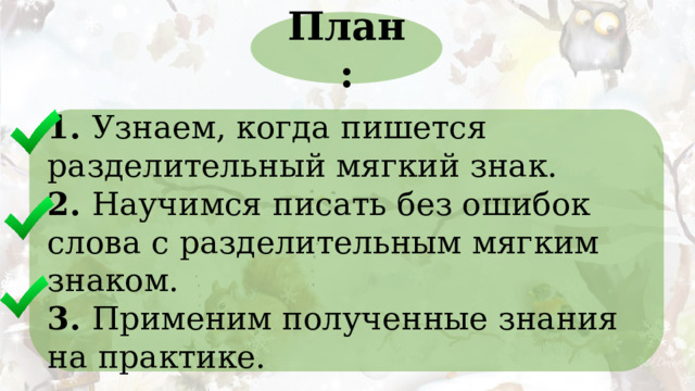 План: 1. Узнаем, когда пишется разделительный мягкий знак. 2. Научимся писать без ошибок слова с разделительным мягким знаком. 3. Применим полученные знания на практике. 