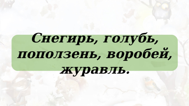Снегирь, голубь, поползень, воробей, журавль. 