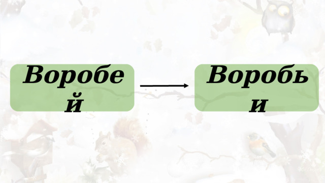 Воробей Воробьи 