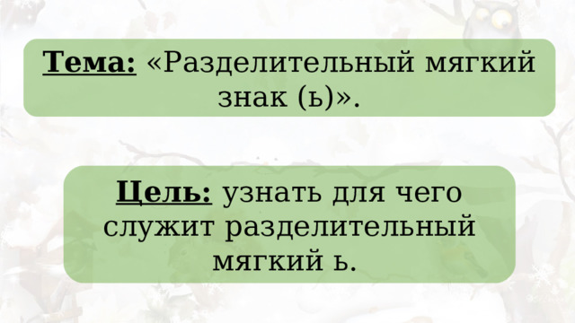 Тема: «Разделительный мягкий знак (ь)». Цель:  узнать для чего служит разделительный мягкий ь. 