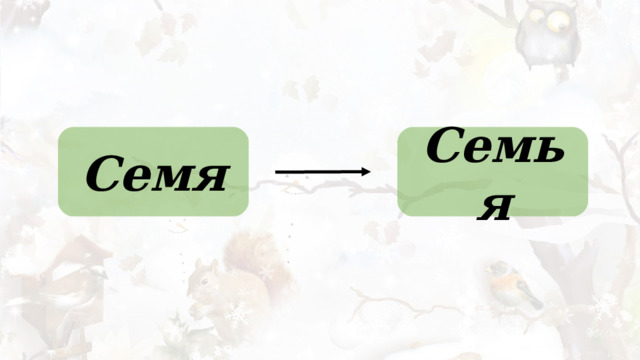 Семя Семья 