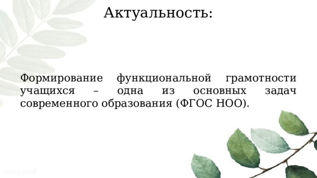 Актуальность: Формирование функциональной грамотности учащихся – одна из основных задач современного образования (ФГОС НОО). 