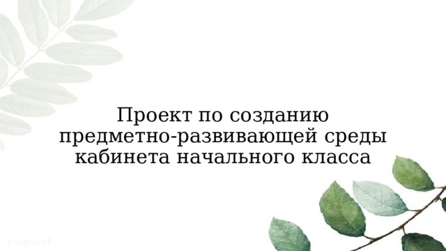Проект по созданию предметно-развивающей среды кабинета начального класса 