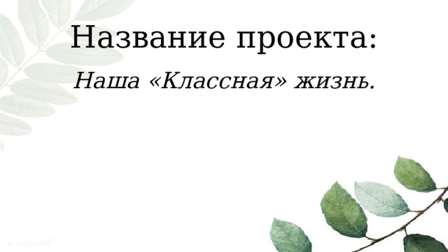 Название проекта: Наша «Классная» жизнь. 