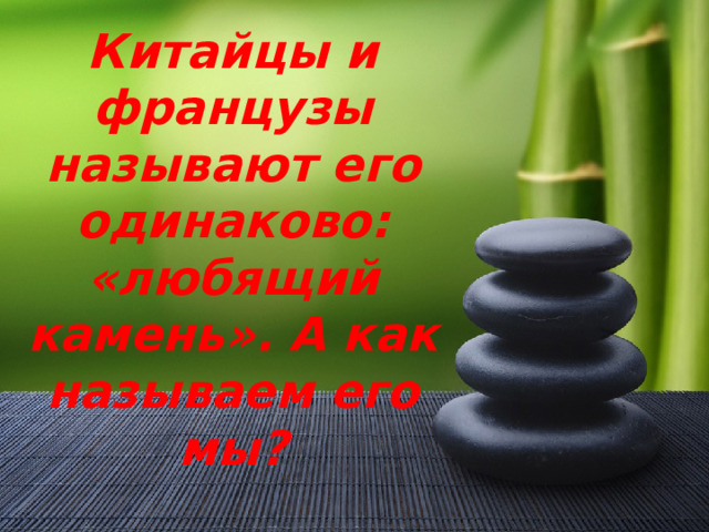 Китайцы и французы называют его одинаково: «любящий камень». А как называем его мы? 