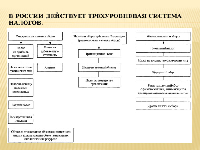 В россии действует трехуровневая система налогов. 